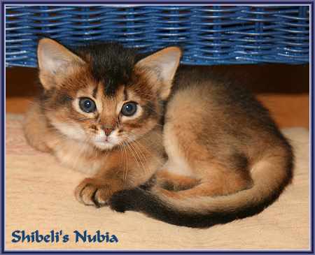 Nubia